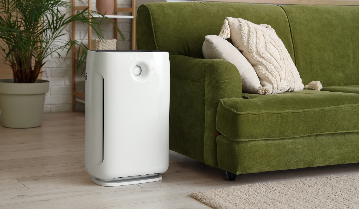 Air Purifiers That Actually Improve Your Health
