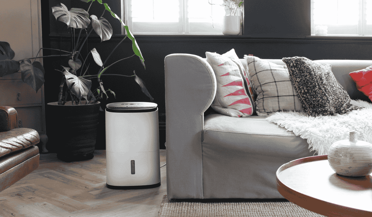 Dehumidifiers vs. Humidifiers Maintaining Perfect Indoor Air