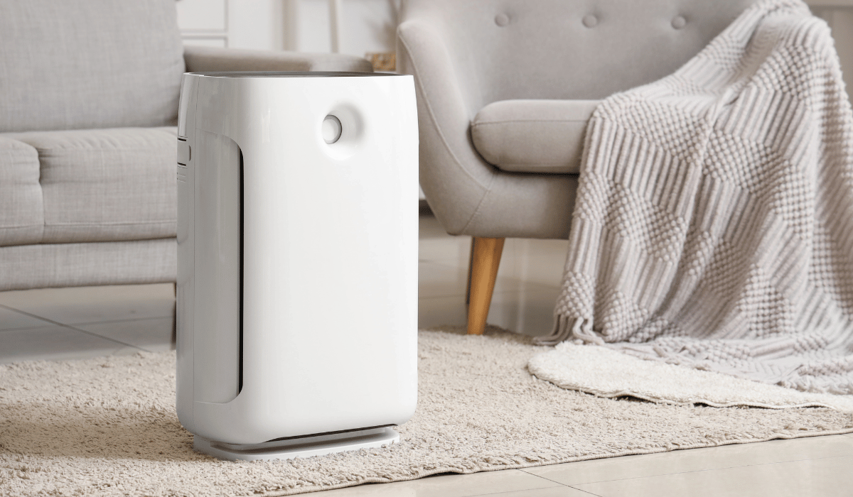 Winter Indoor Air Quality: How to Breathe Healthier at Home After the Holidays